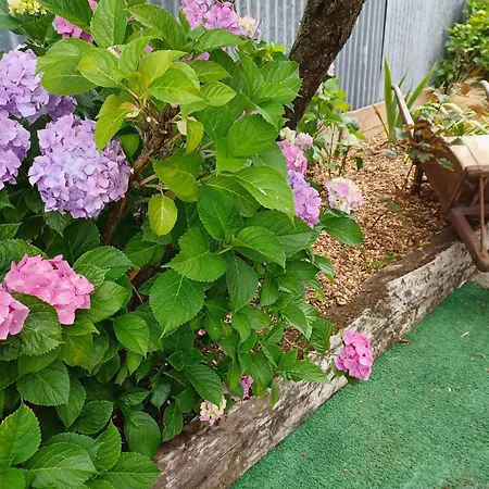 Fermette De Charme Rénovée Avec Grand Terrain, 5 Chambres, Proche Du Circuit 24h Du Mans - Fr-1-410-304 * Savigne-l'Eveque