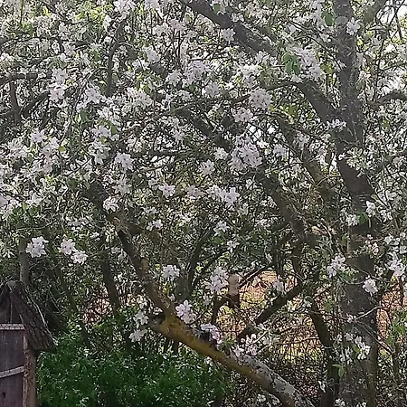 Σπίτι διακοπών Fermette De Charme Renovee Avec Grand Terrain, 5 Chambres, Proche Du Circuit 24h Du Mans - Fr-1-410-304