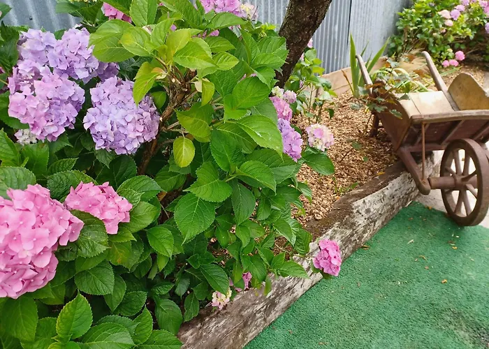 Fermette De Charme Renovee Avec Grand Terrain, 5 Chambres, Proche Du Circuit 24h Du Mans - Fr-1-410-304 * Savigne-l'Eveque