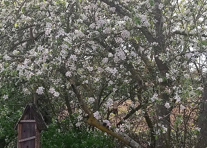 펜션 Fermette De Charme Renovee Avec Grand Terrain, 5 Chambres, Proche Du Circuit 24h Du Mans - Fr-1-410-304